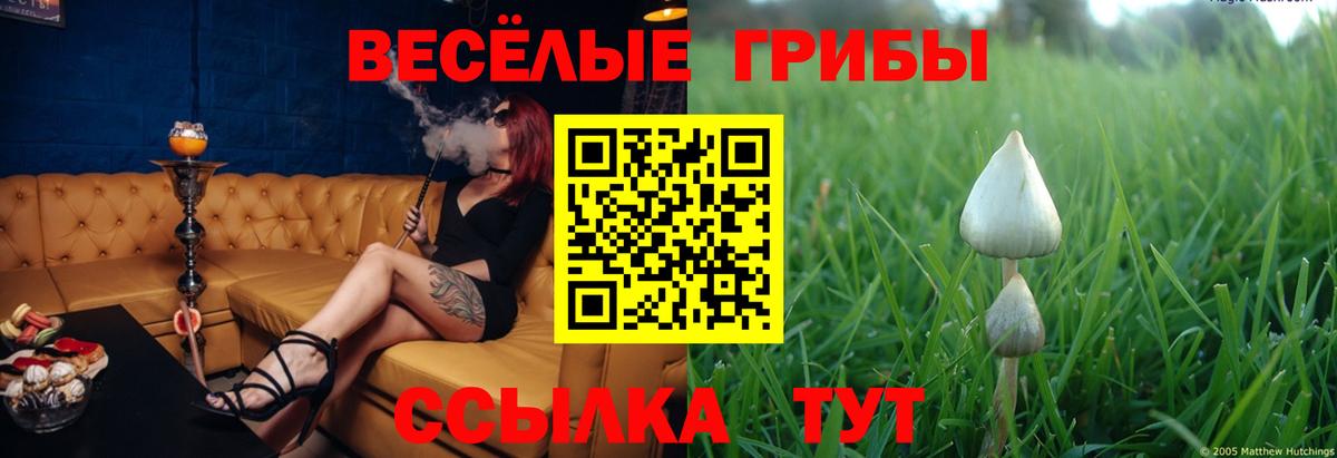 Псилоцибиновые грибы прущие грибы  Галлюциногенные грибы прущие грибы  Десногорск  Вход с VPN 